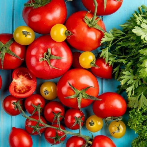 Tomatoes - Italian Gourmet UK