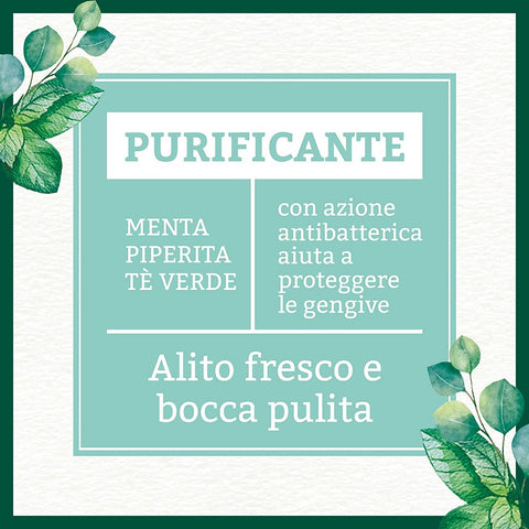 Antica Erboristeria Dentifricio Purificante ad Azione Antibatterica Purifying Toothpaste with Antibacterial Action with Mint, Peppermint and Green Tea 75 ml